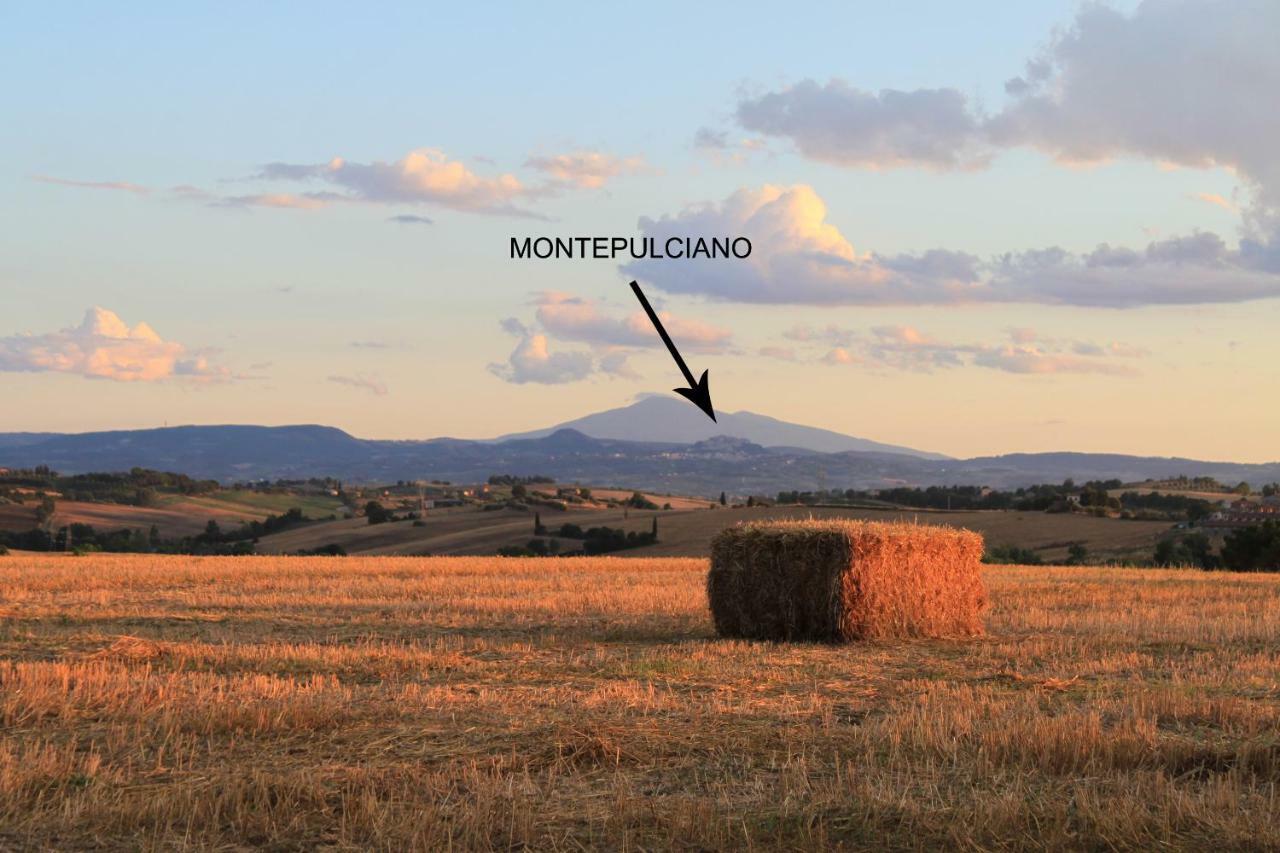 Fattoria Borgonuovo Country house Cortona