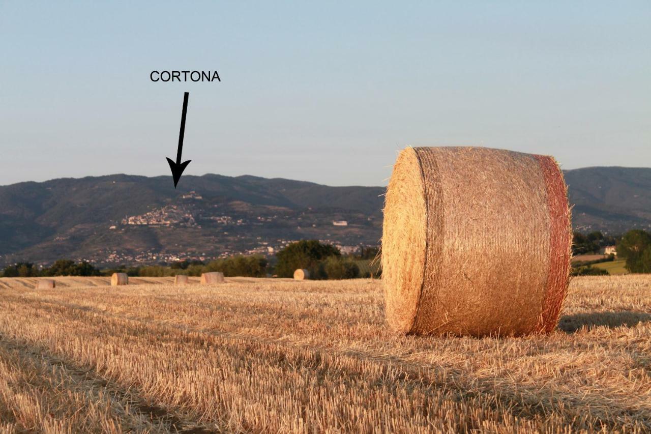 Country house Fattoria Borgonuovo *